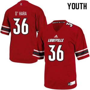 Youth Louisville Cardinals #36 Evan O'Hara Red Stitched Jerseys 162736-204